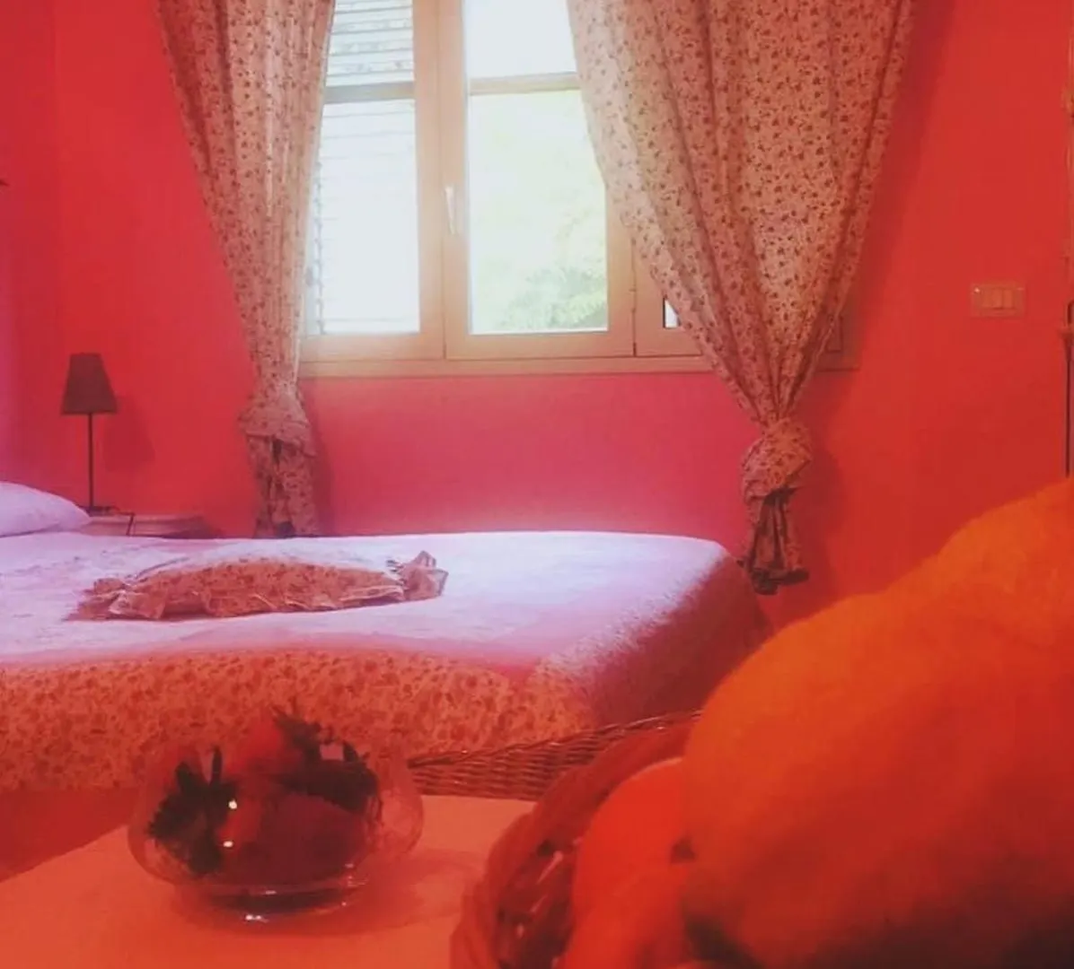B&B Xenia Mongiove